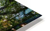 Ruisseau cache HD Metal print