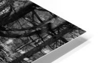 Foret noire HD Metal print