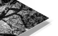 Vieille branche HD Metal print