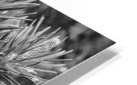 Cone de pin HD Metal print