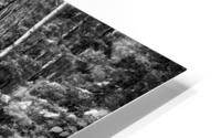 Bois dormant HD Metal print