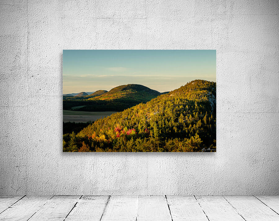 Doux pays Wall Preview