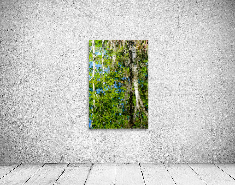 Reflexions Wall Preview