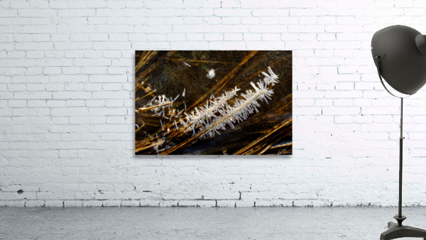 Sucre d orge Wall Preview