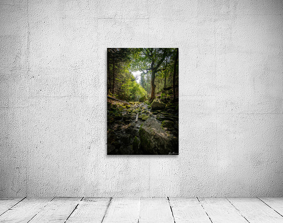 Ruisseau cache Wall Preview