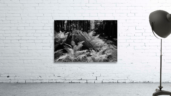 Crac Wall Preview
