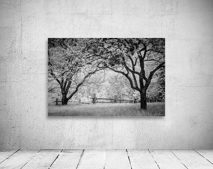 Vieille branche Wall Preview