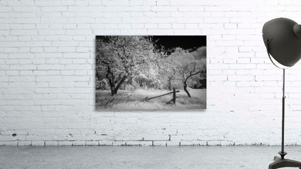 Floraison Wall Preview