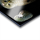 Three Sixty Acrylic print