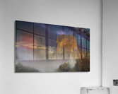 Intrusion Acrylic Print