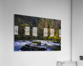 Autumns Return Acrylic Print