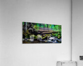 Bark Shanty Acrylic Print