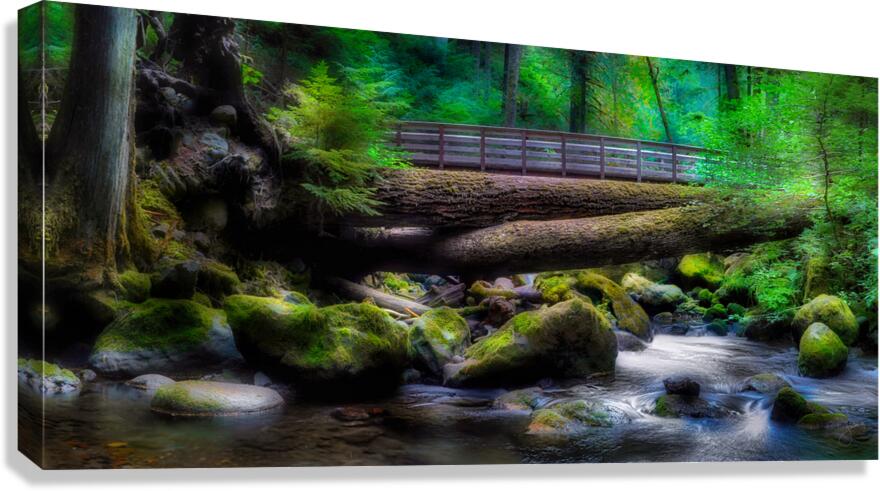 Bark Shanty Canvas Print
