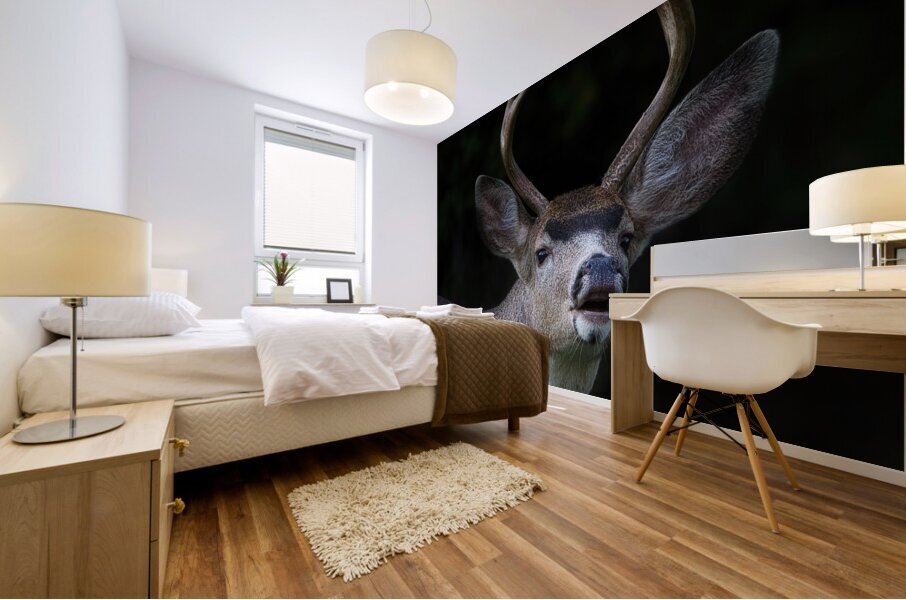 In Search Mural print