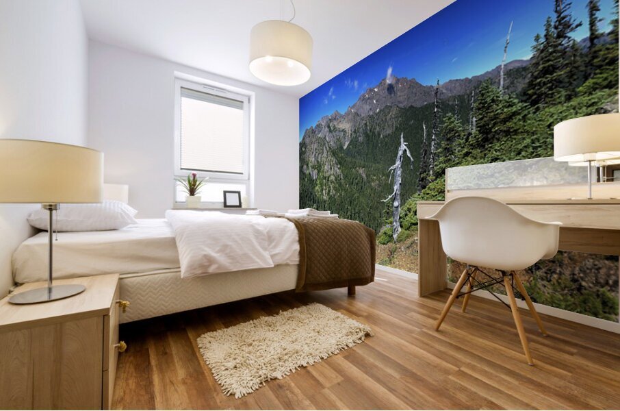 Mt. Constance from Valhalla Mural print