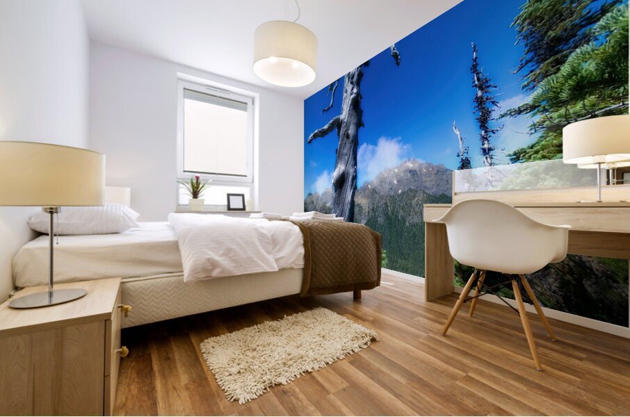 Weathered Mural print