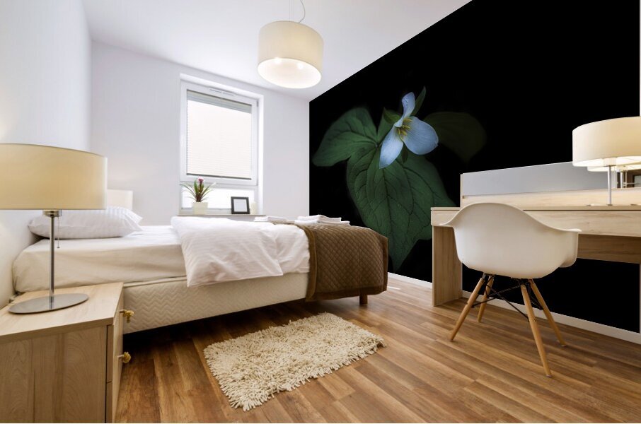In Hiding Mural print