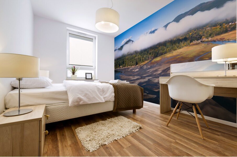 Duckabush Flats Mural print