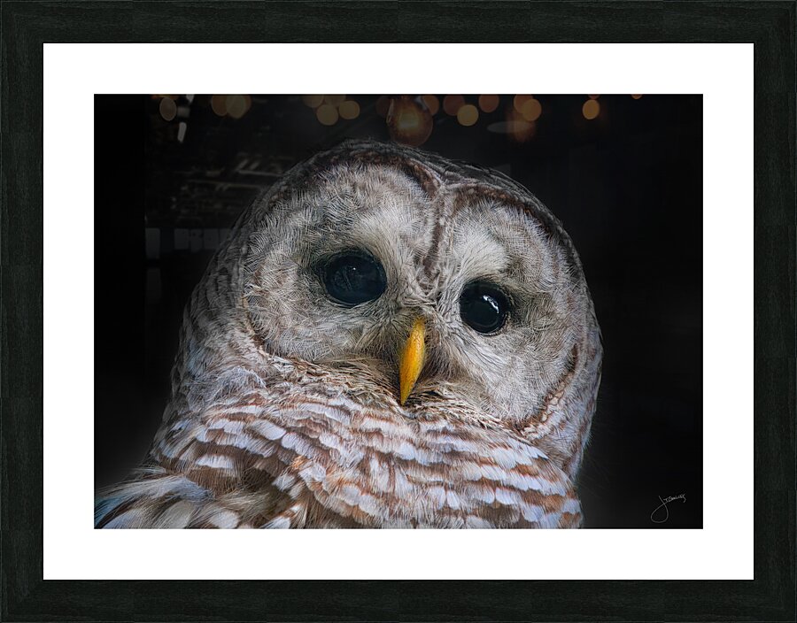 Focused Picture Frame print