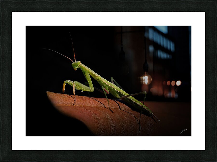 Stickman Picture Frame print