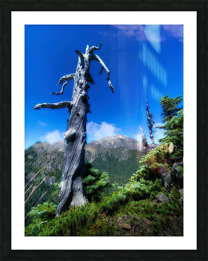 Weathered Picture Frame print