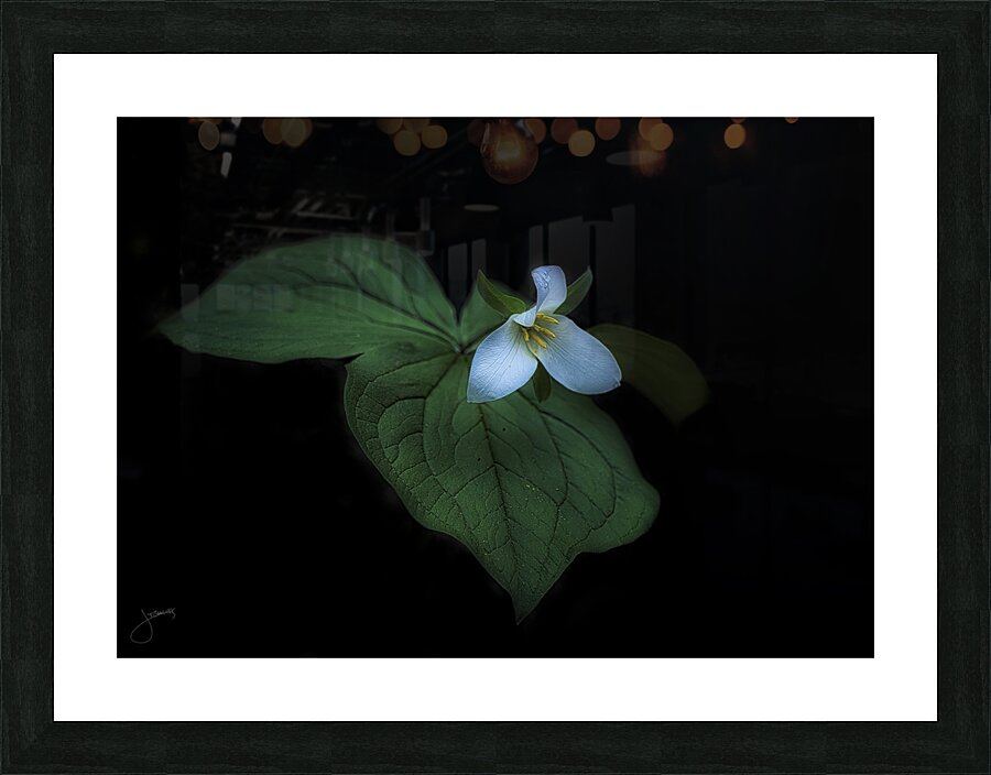 In Hiding Picture Frame print