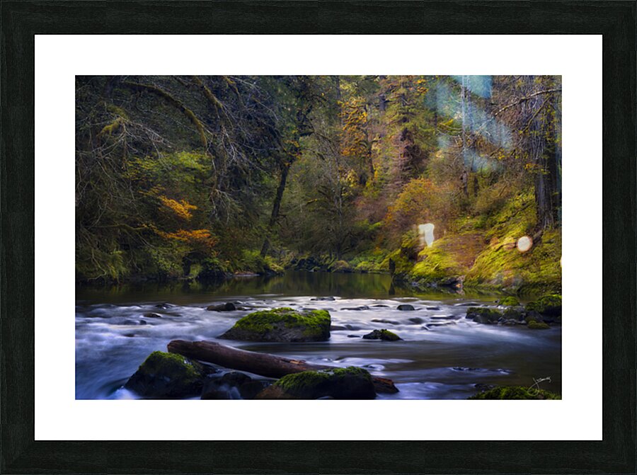 Autumns Return Picture Frame print