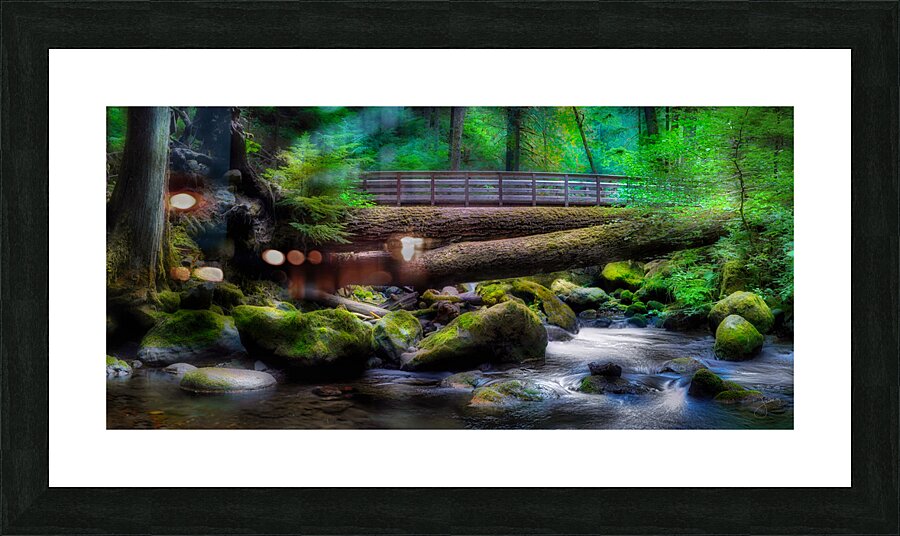 Bark Shanty Picture Frame print