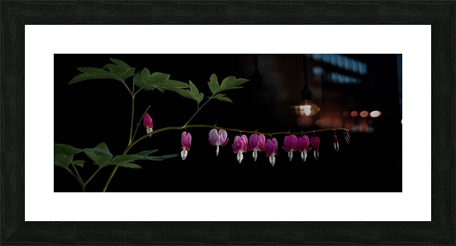 Kerries Garden Picture Frame print