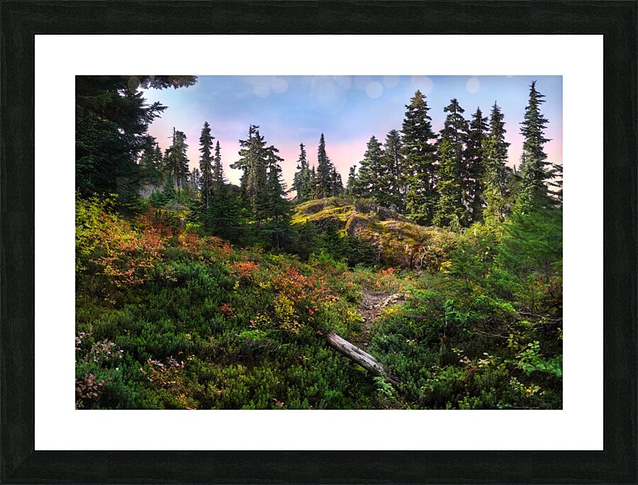 Nearing the Summit Picture Frame print