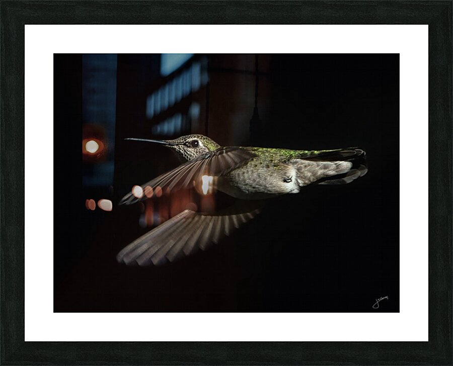 Anna in Flight Picture Frame print