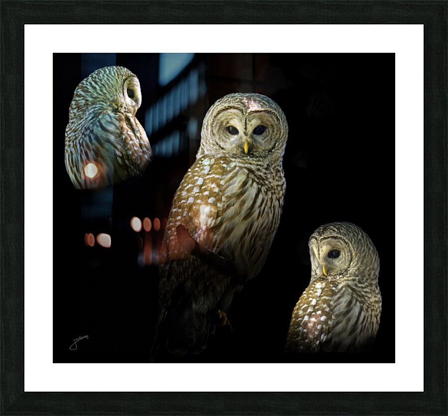 Three Sixty Picture Frame print