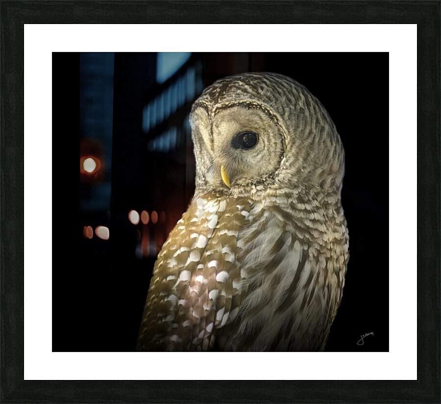 Focused III Picture Frame print