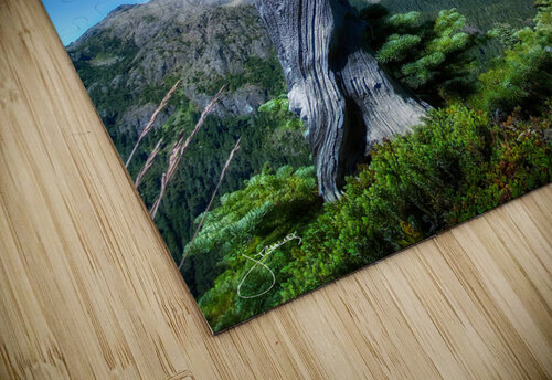 Weathered Jeff Childs puzzle