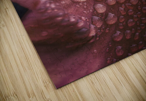 Weathering the Storm Jeff Childs puzzle