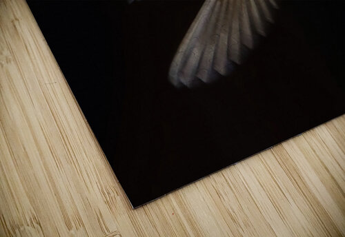 Anna in Flight Jeff Childs puzzle