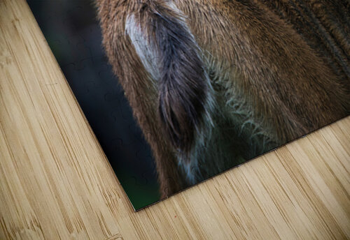 Preen Jeff Childs puzzle