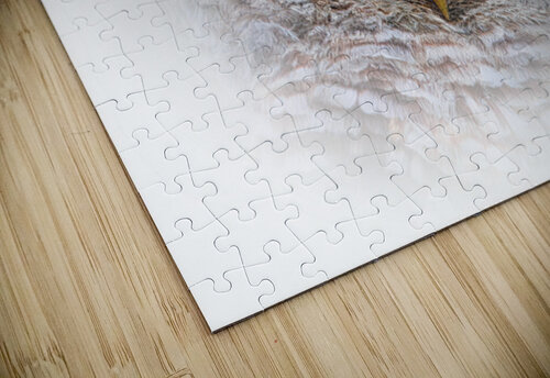 Focused in White Jeff Childs puzzle