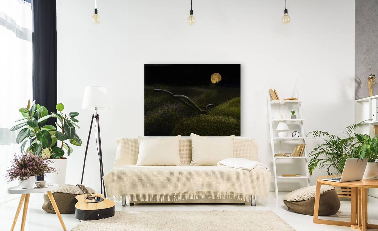 Lavender Moon Reproduction