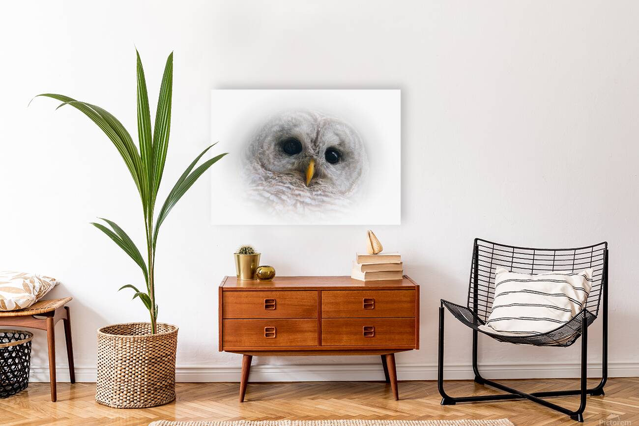 Focused in White Reproduction