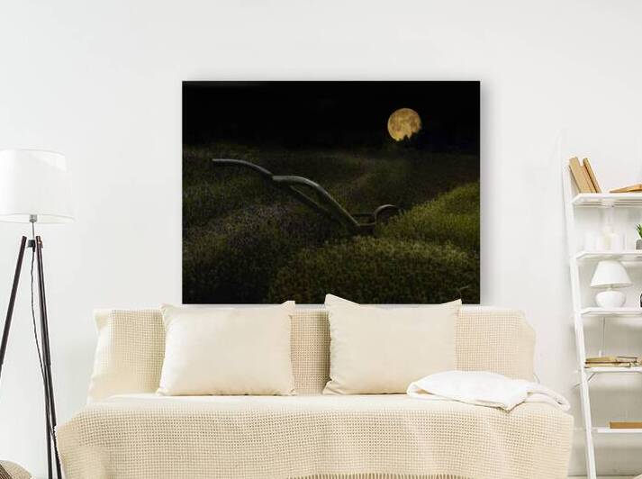 Lavender Moon by Jeff Childs