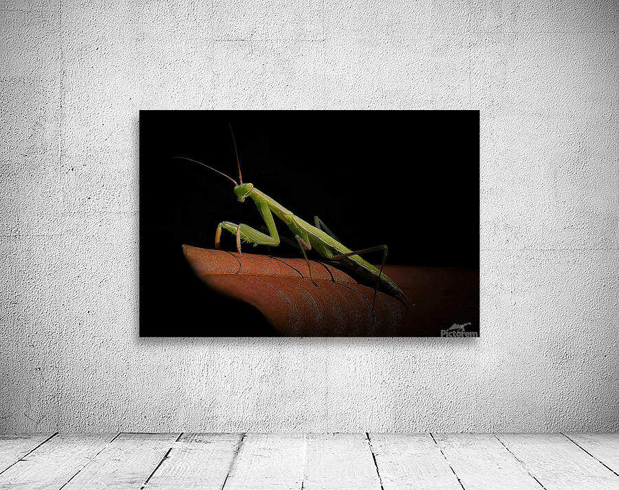 Stickman Wall Preview