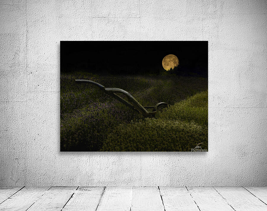 Lavender Moon Wall Preview