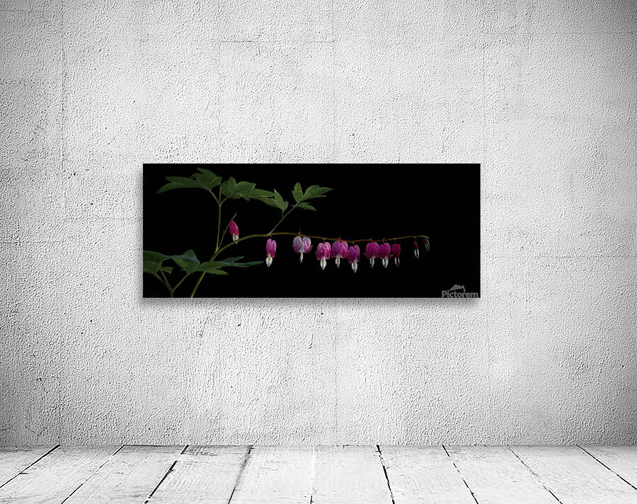 Kerries Garden Wall Preview