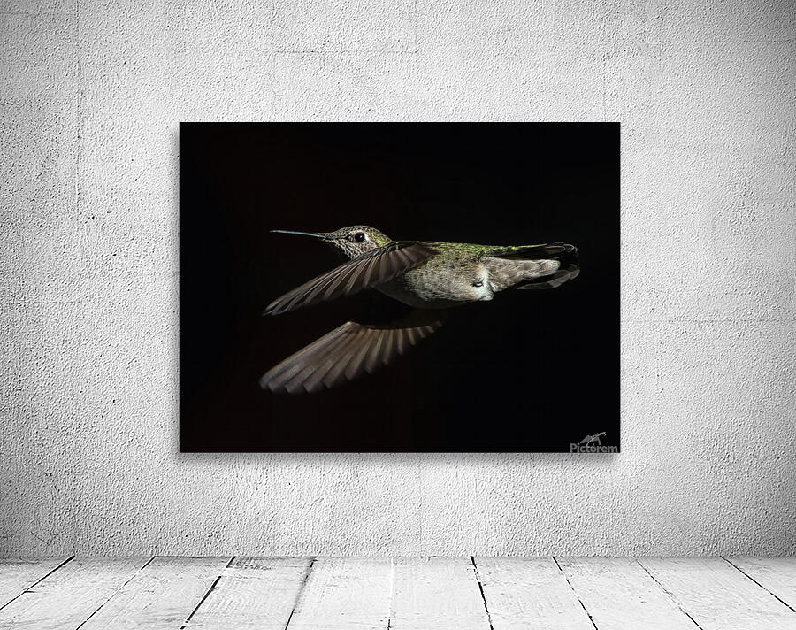 Anna in Flight Wall Preview