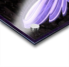 Lavender Acrylic print