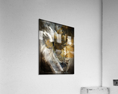 Asia Acrylic Print