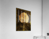Palm Acrylic Print