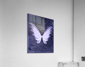 Wish Acrylic Print