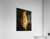 Apparition Acrylic Print